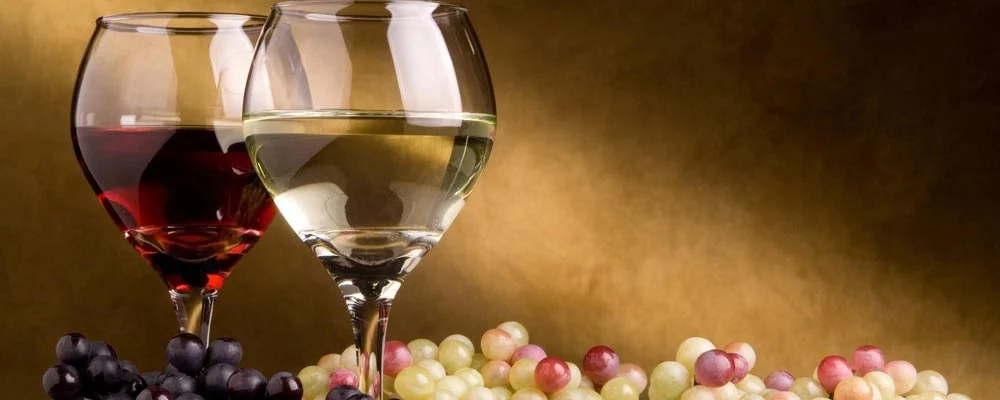 Two glasses of wine, one red and one white, with grapes